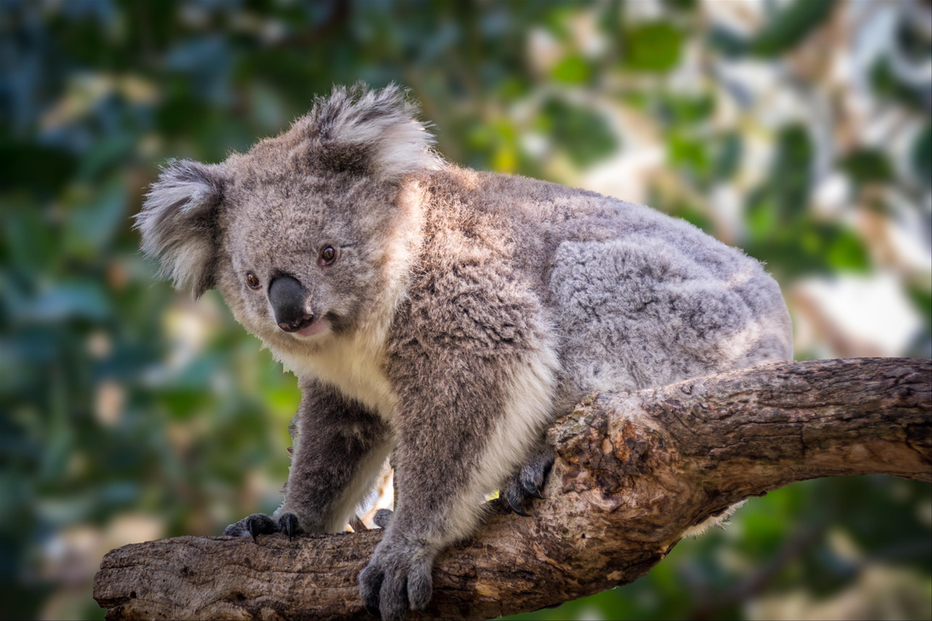 2015-03-31-Australia-59-Edit.jpg