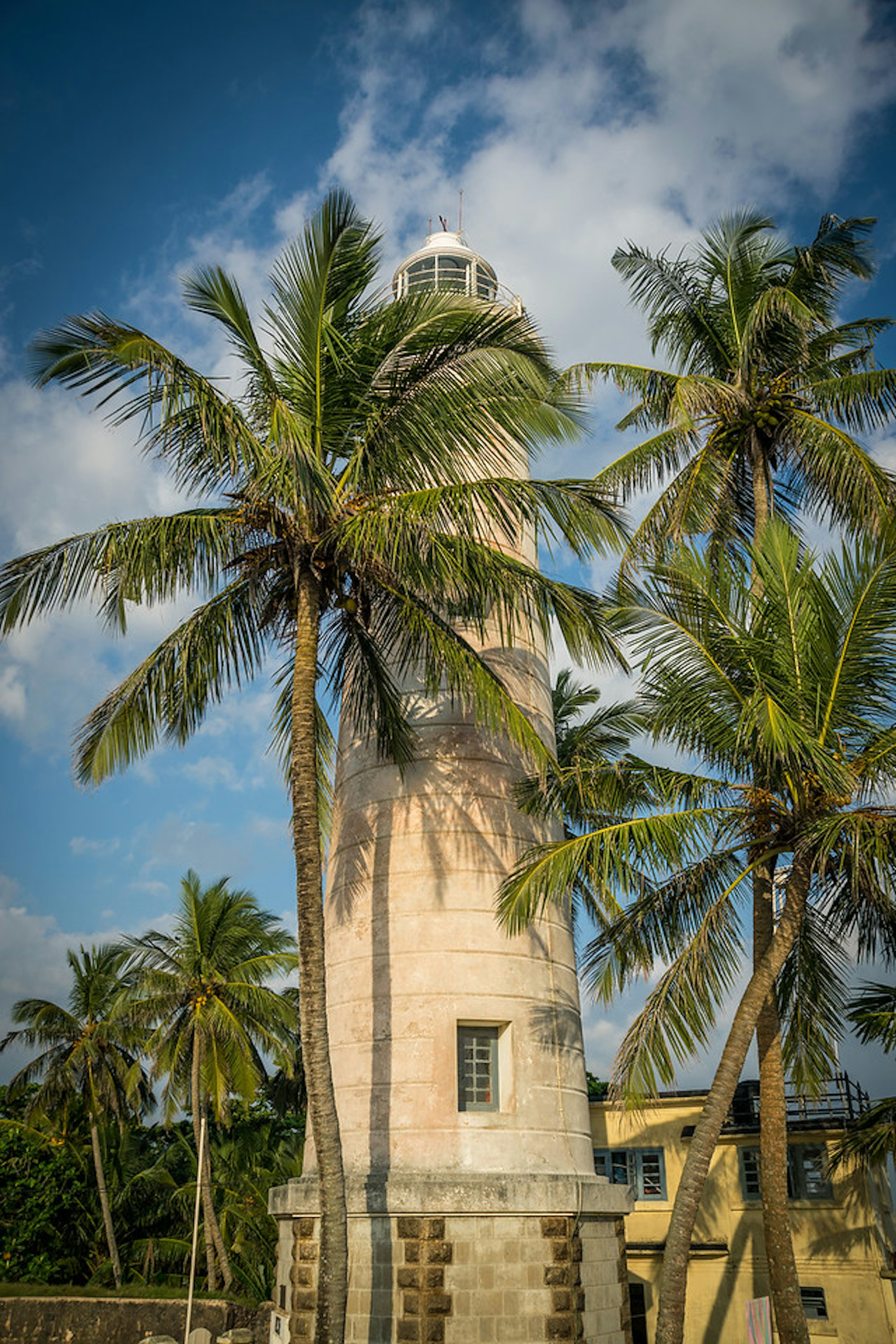 2015-12-31-Sri-Lanka-34.jpg