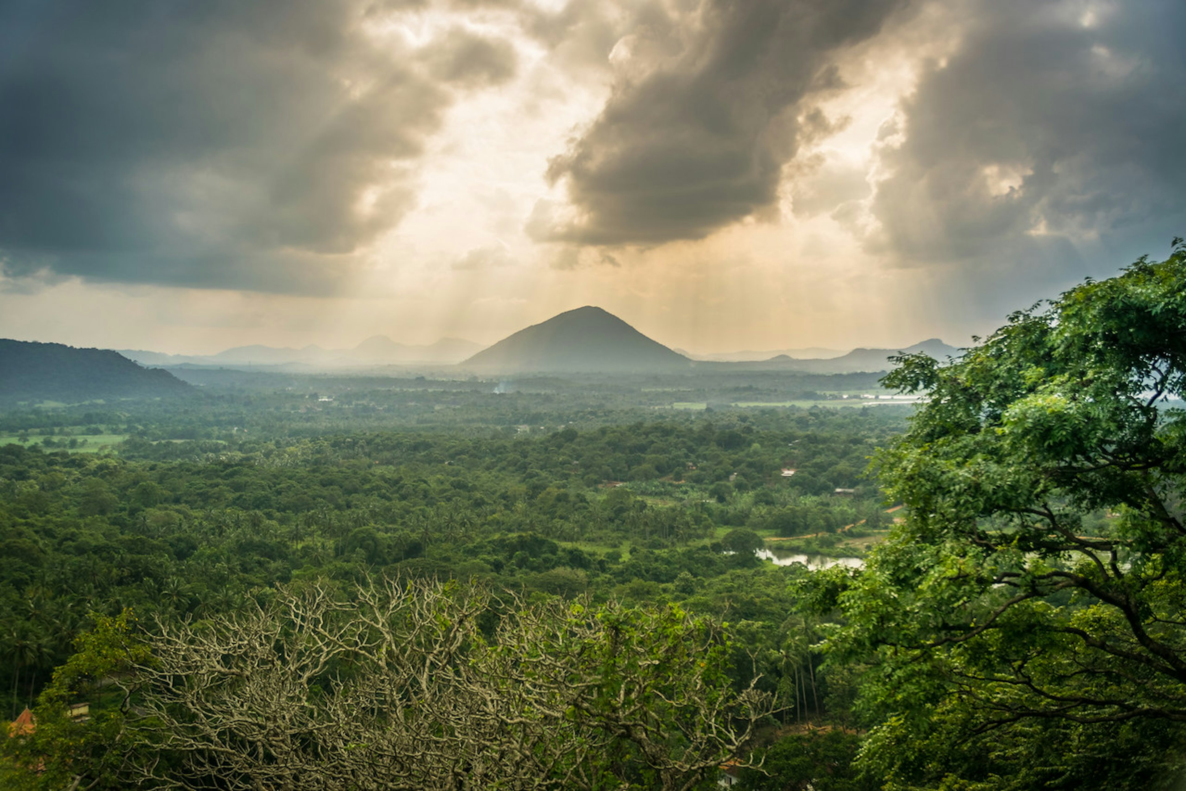 2016-01-10-Sri-Lanka-157.jpg