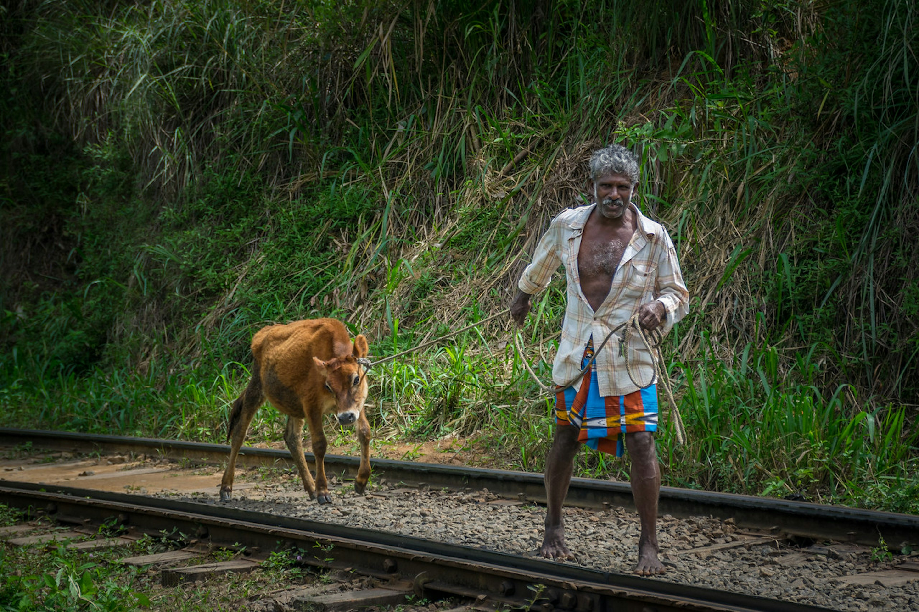 2016-01-06-Sri-Lanka-86.jpg