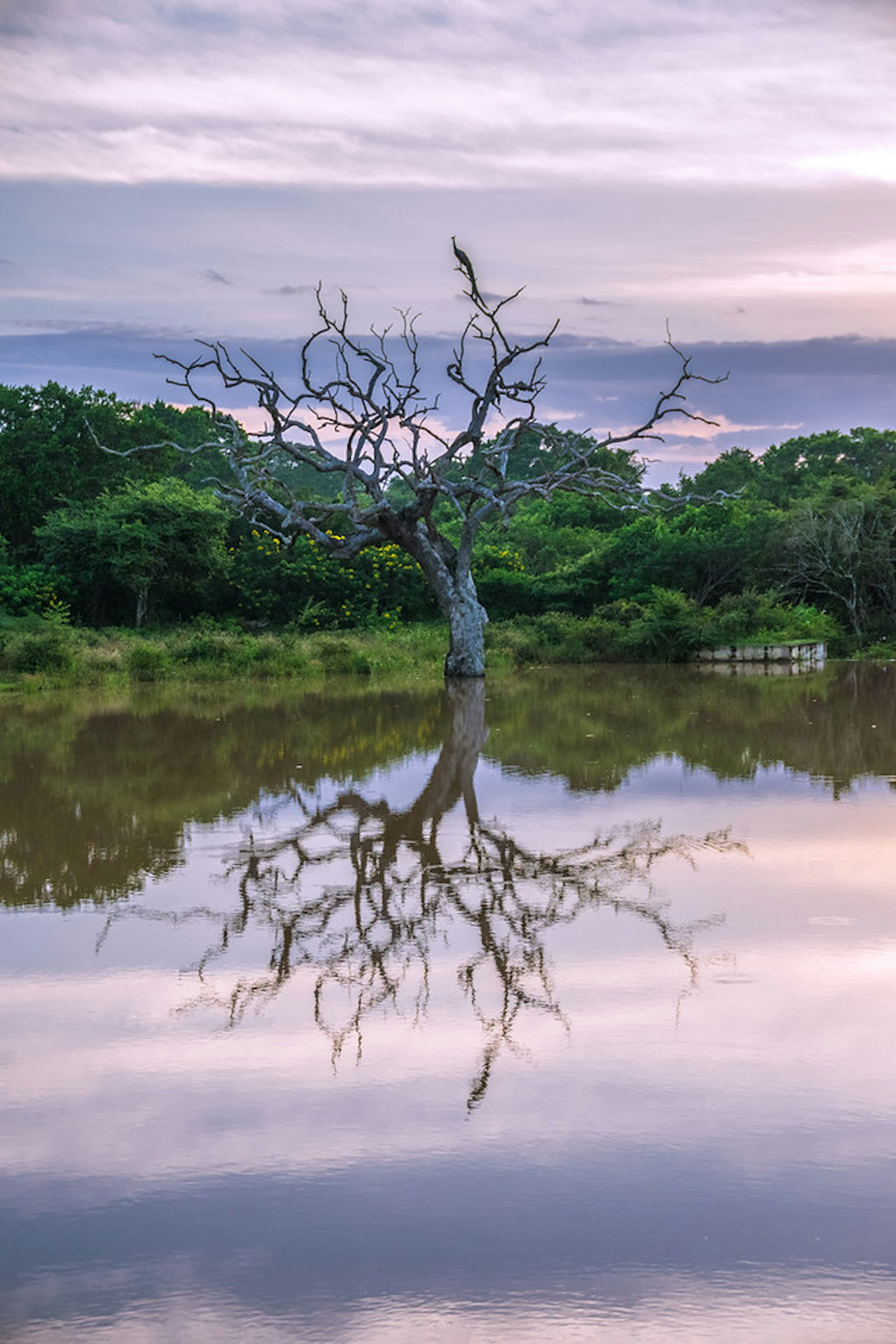 2016-01-04-Sri-Lanka-44-Edit.jpg