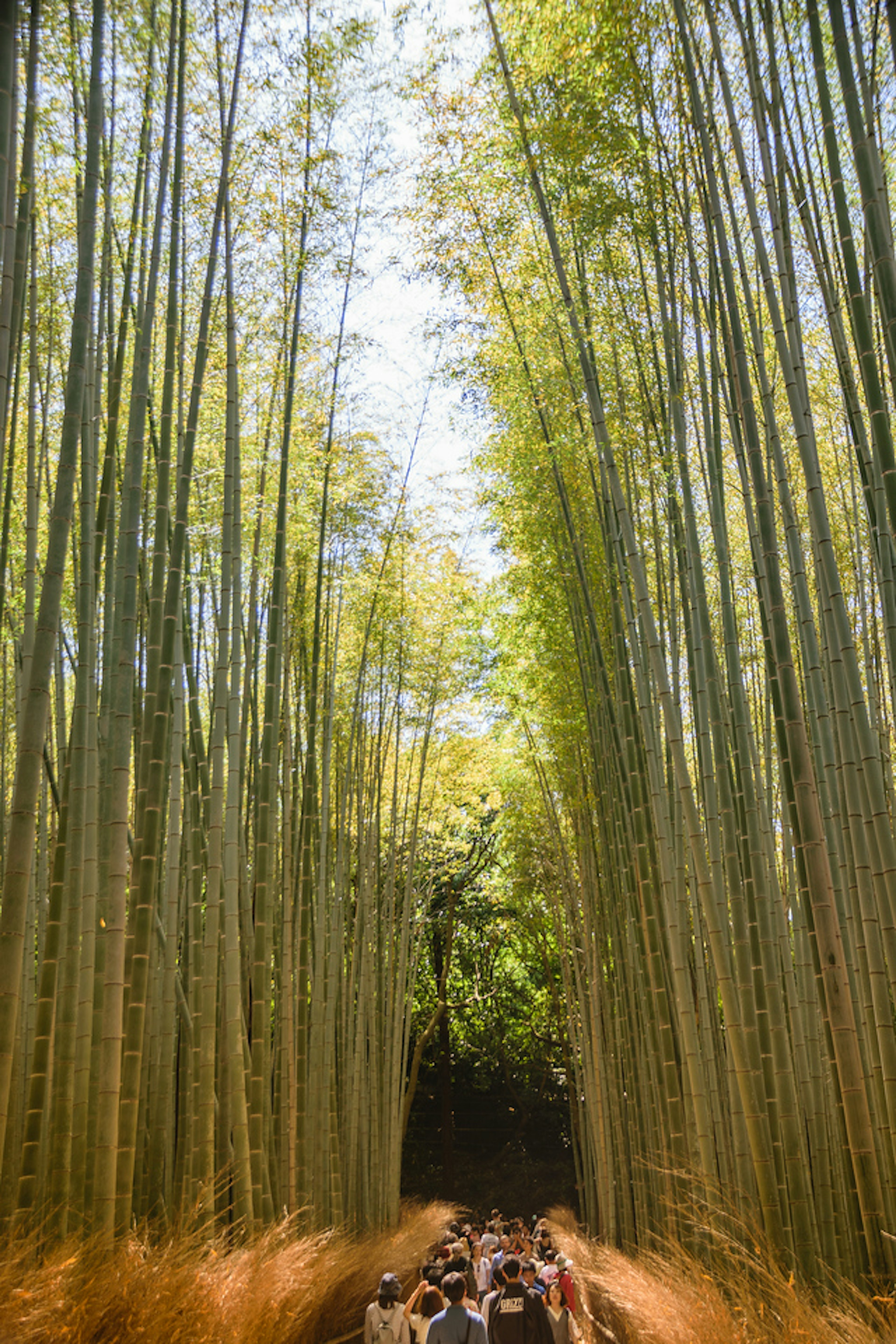 2018-05-05-Japan-0942.jpg