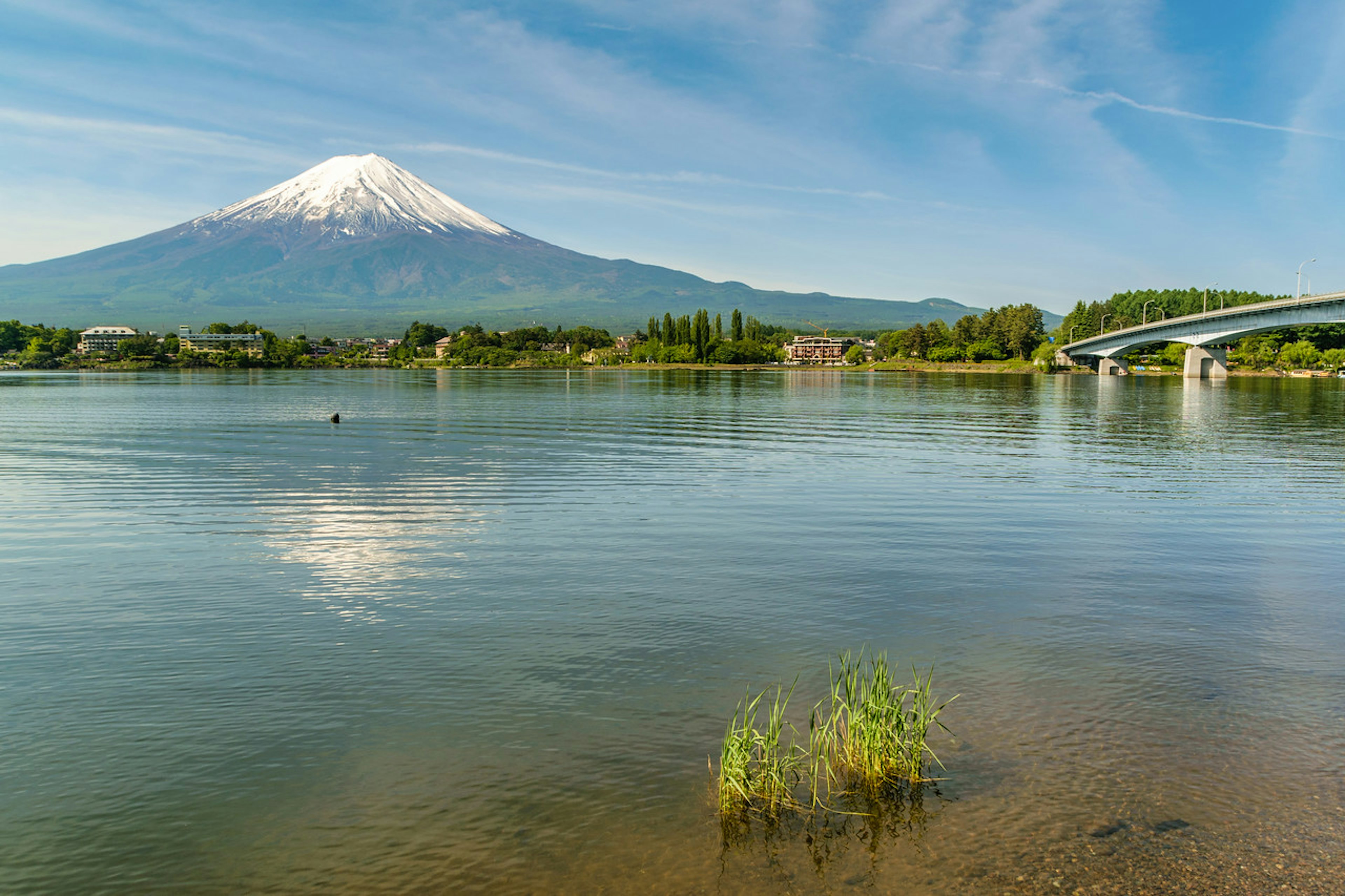 2018-05-11-Japan-1234-Edit.jpg