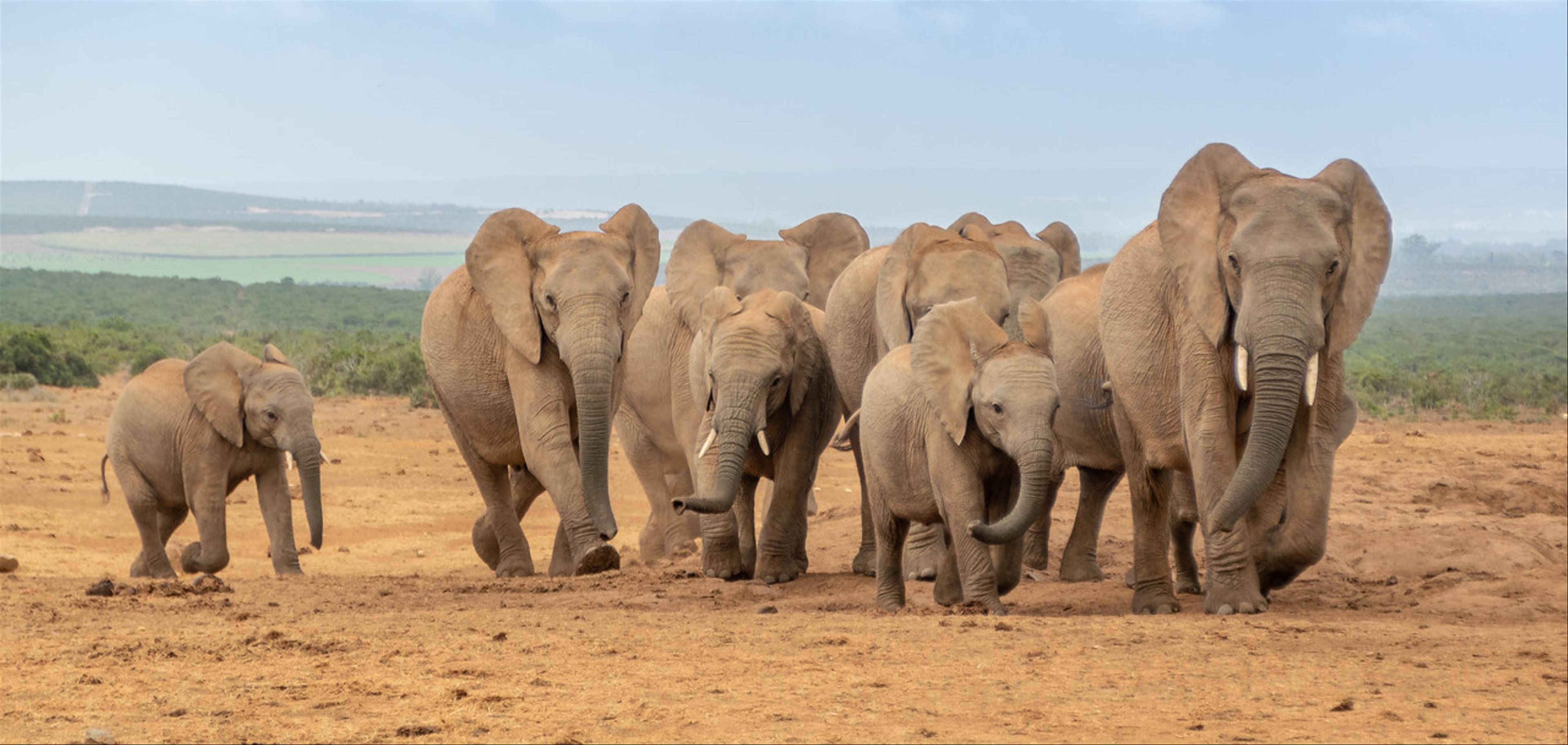 2019-01-30-Zuid-Afrika-1555.jpg