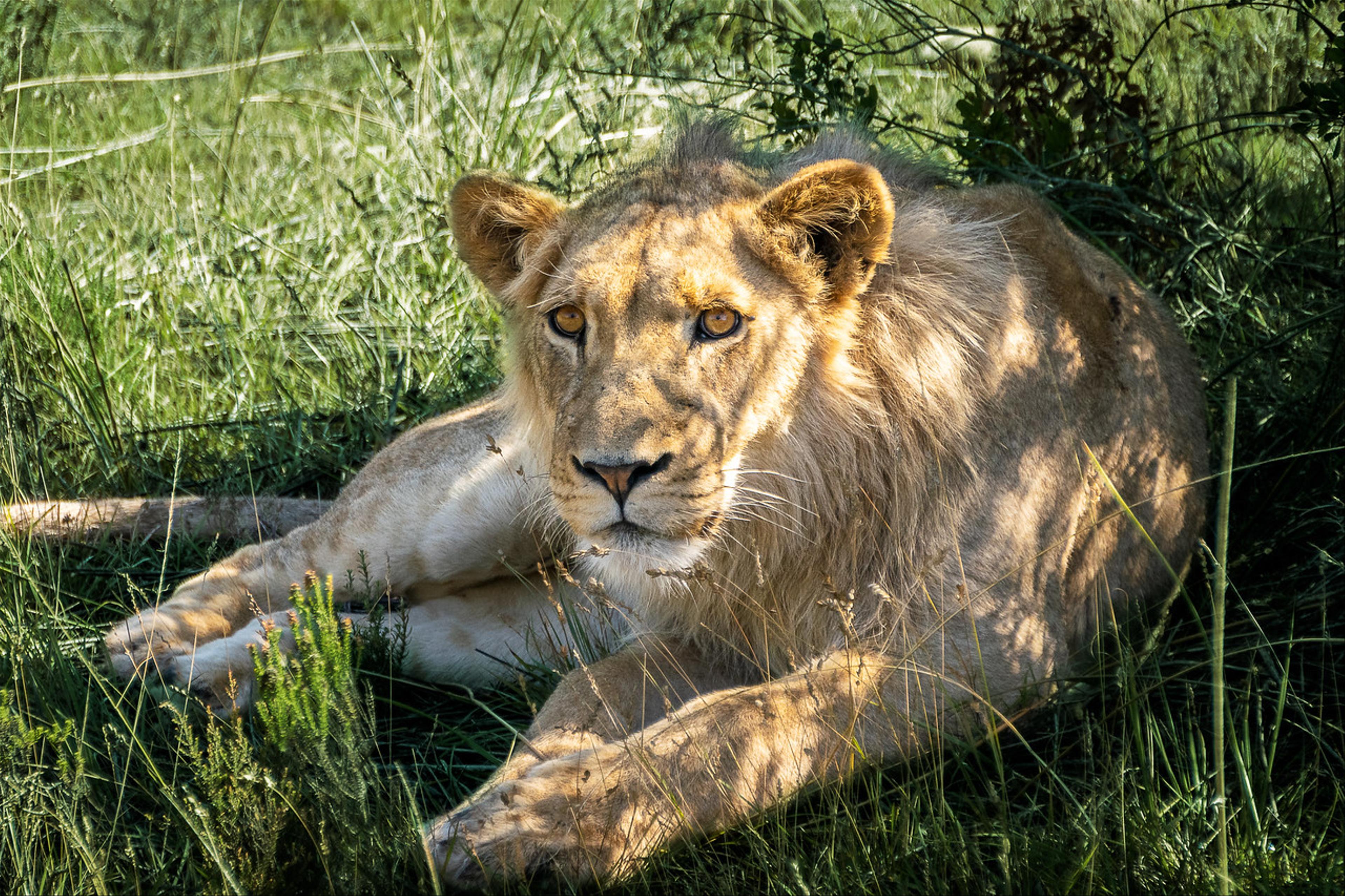 2019-02-05-Zuid-Afrika-2626-Edit.jpg