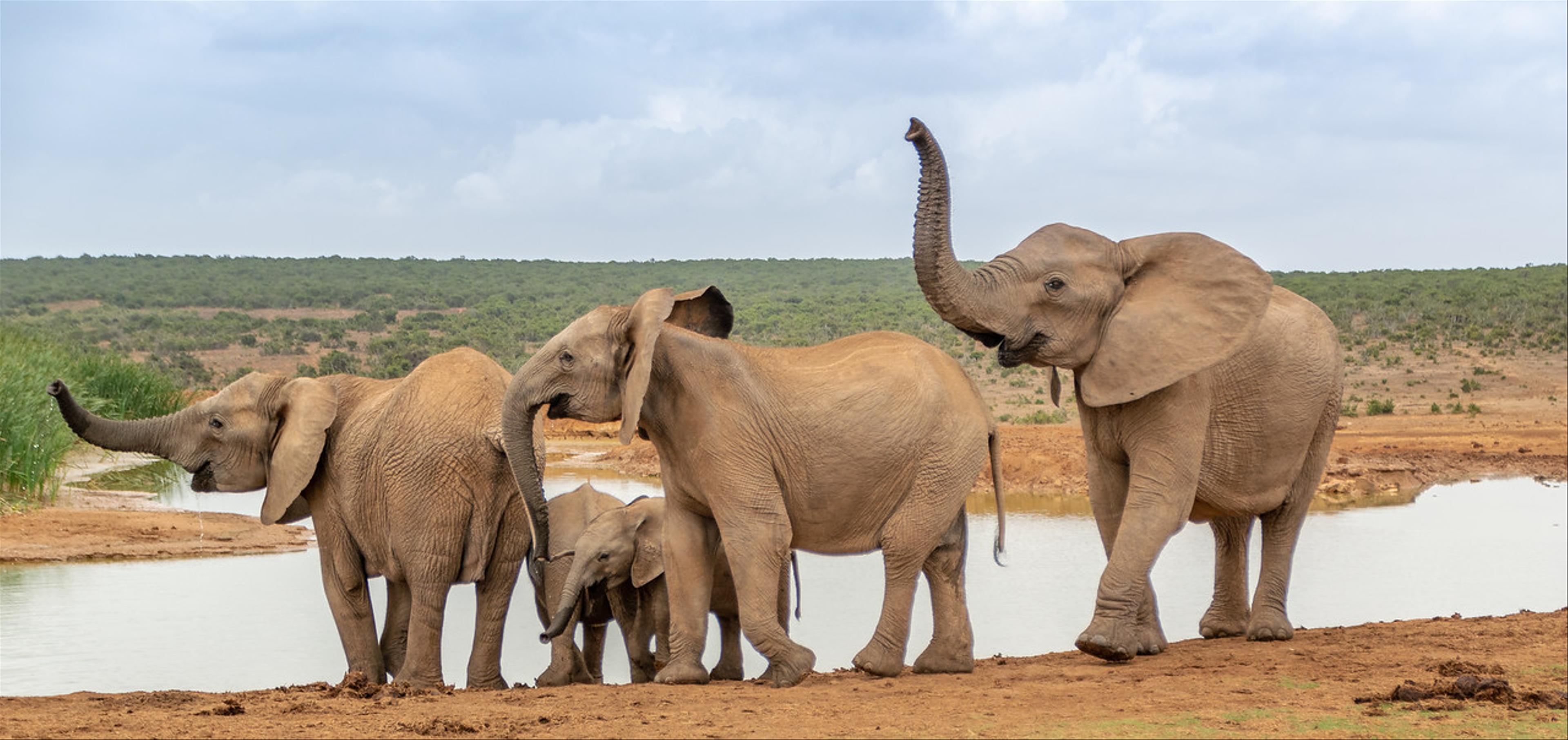 2019-01-30-Zuid-Afrika-1545.jpg