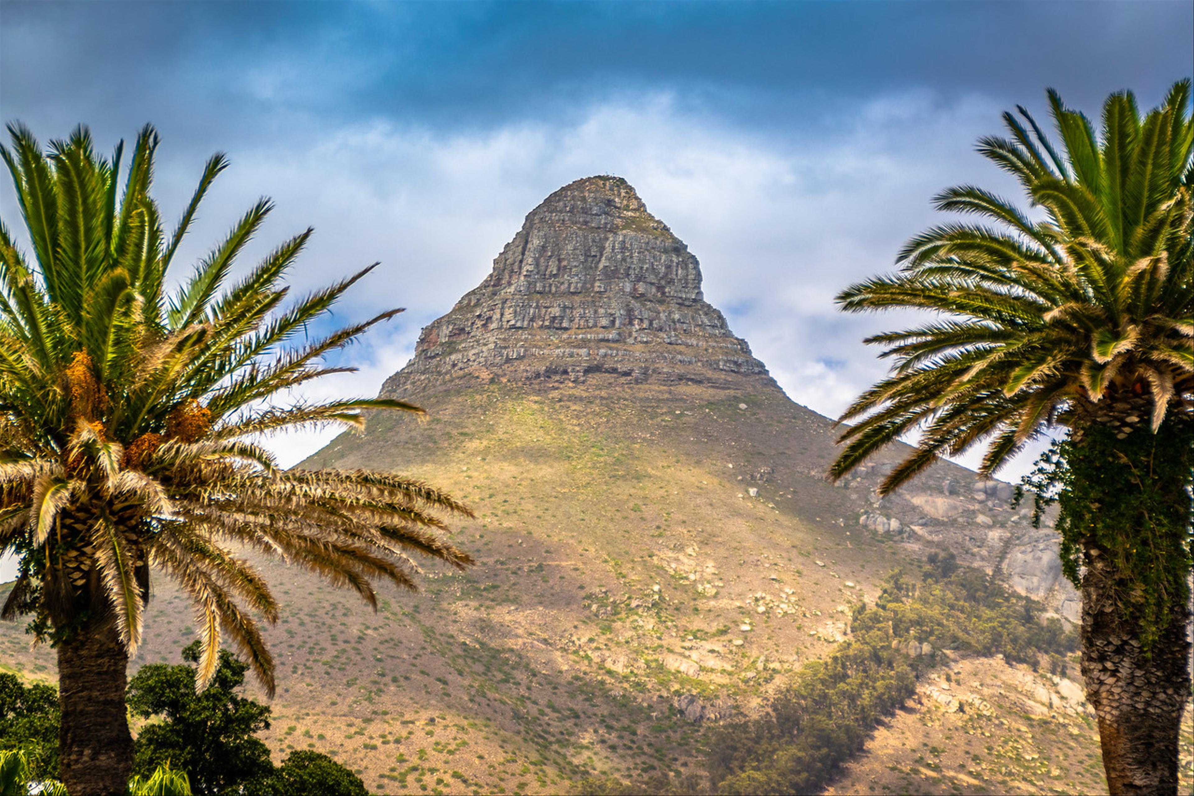 2019-01-19-Zuid-Afrika-0345.jpg