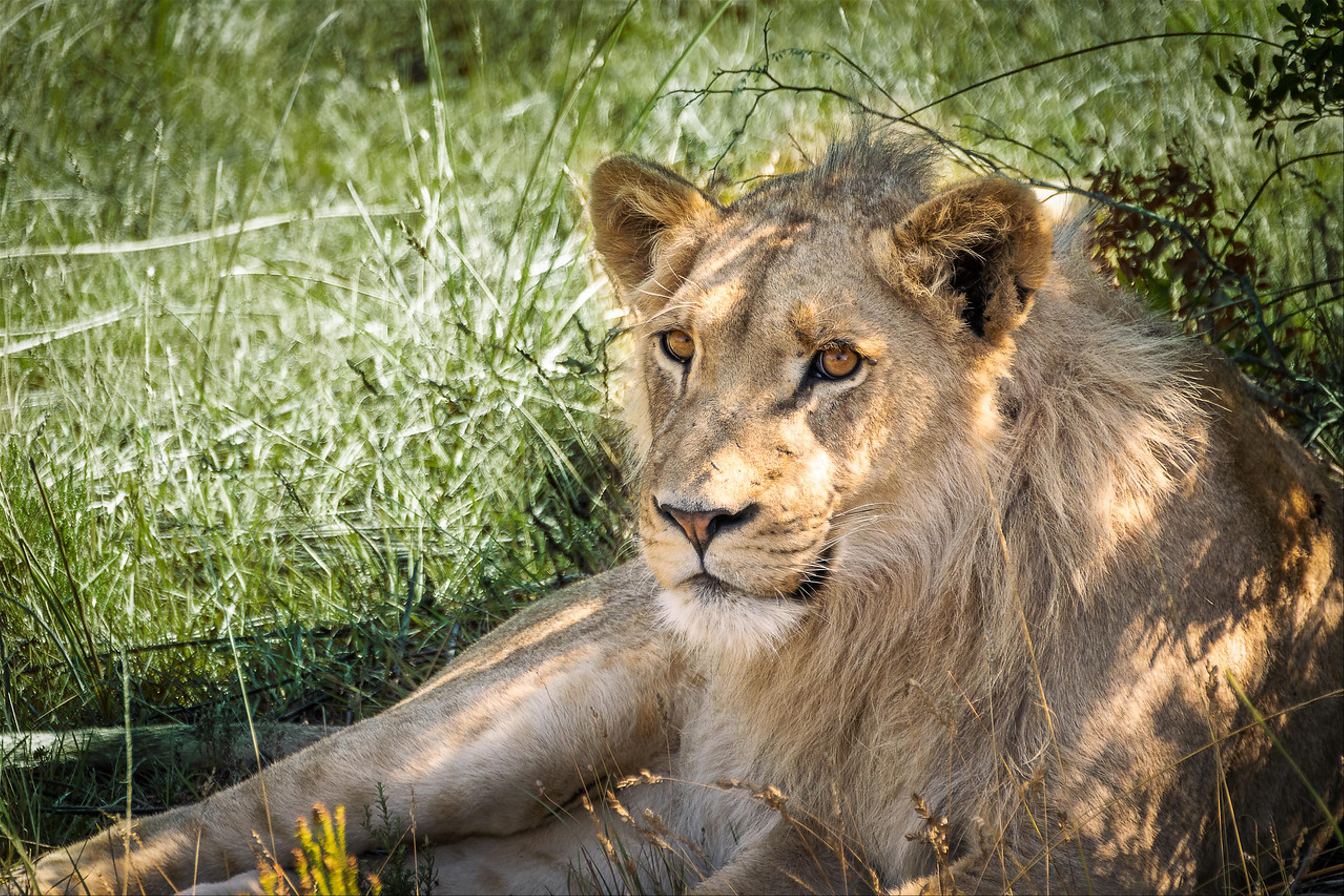 2019-02-05-Zuid-Afrika-2610-Edit.jpg