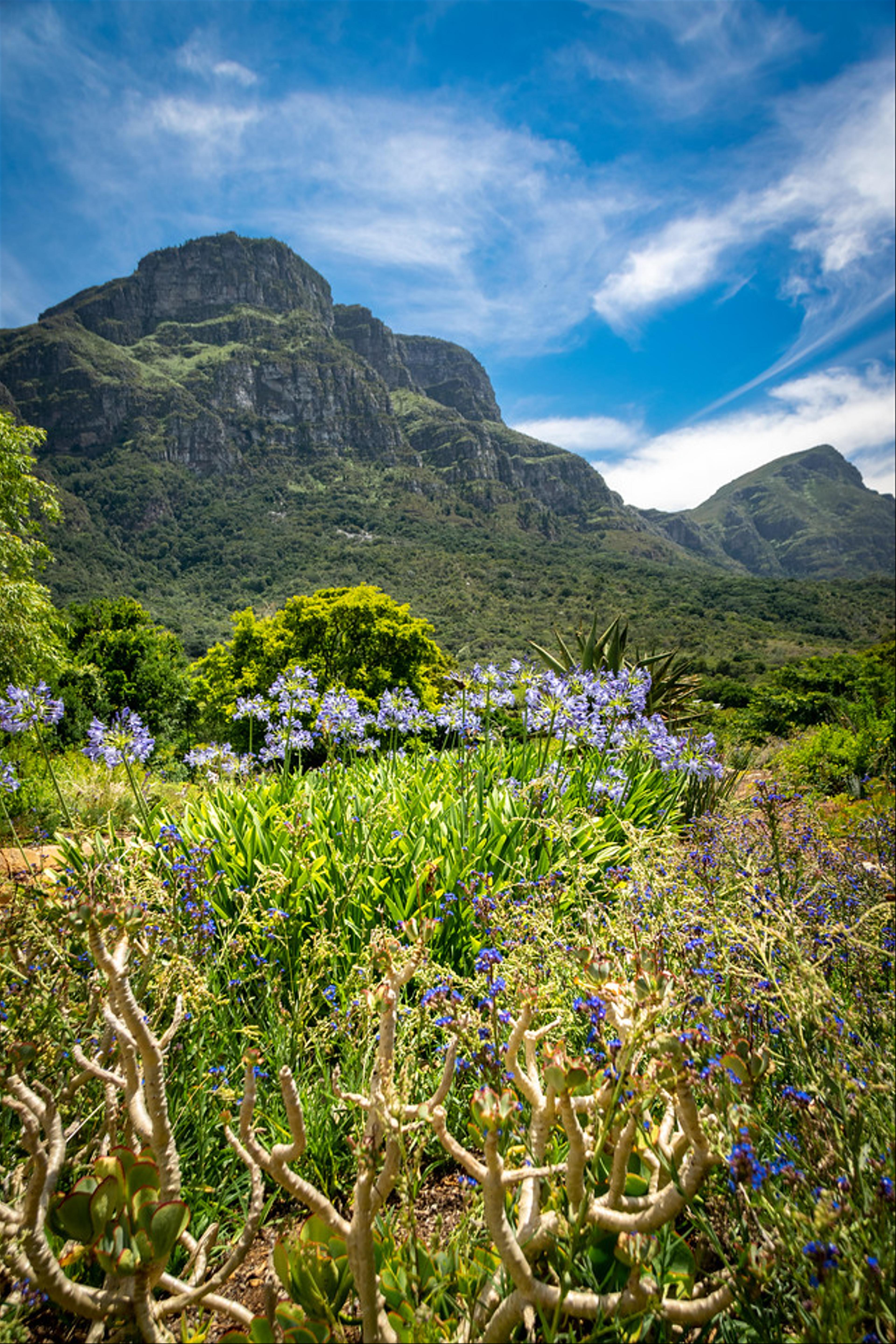 2019-01-20-Zuid-Afrika-0509.jpg