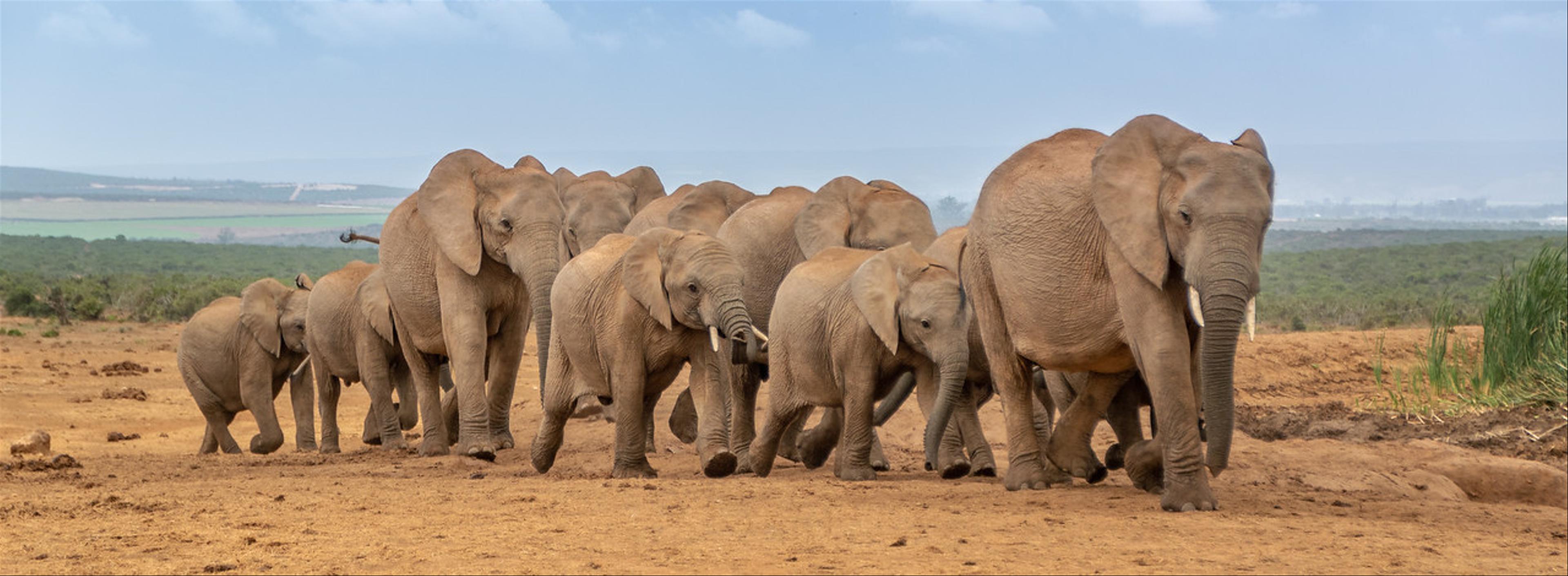 2019-01-30-Zuid-Afrika-1559.jpg