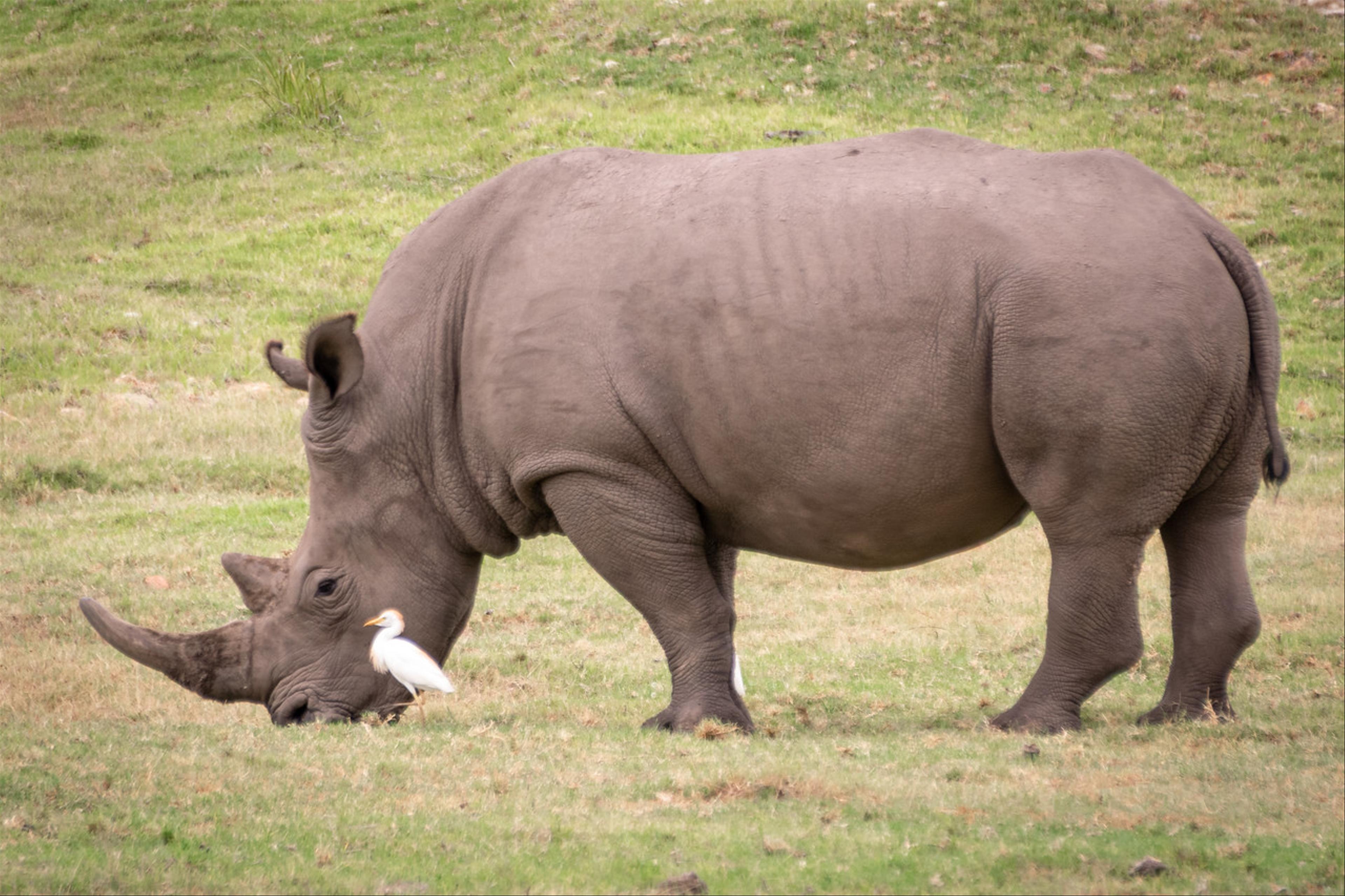 2019-02-03-Zuid-Afrika-2012.jpg