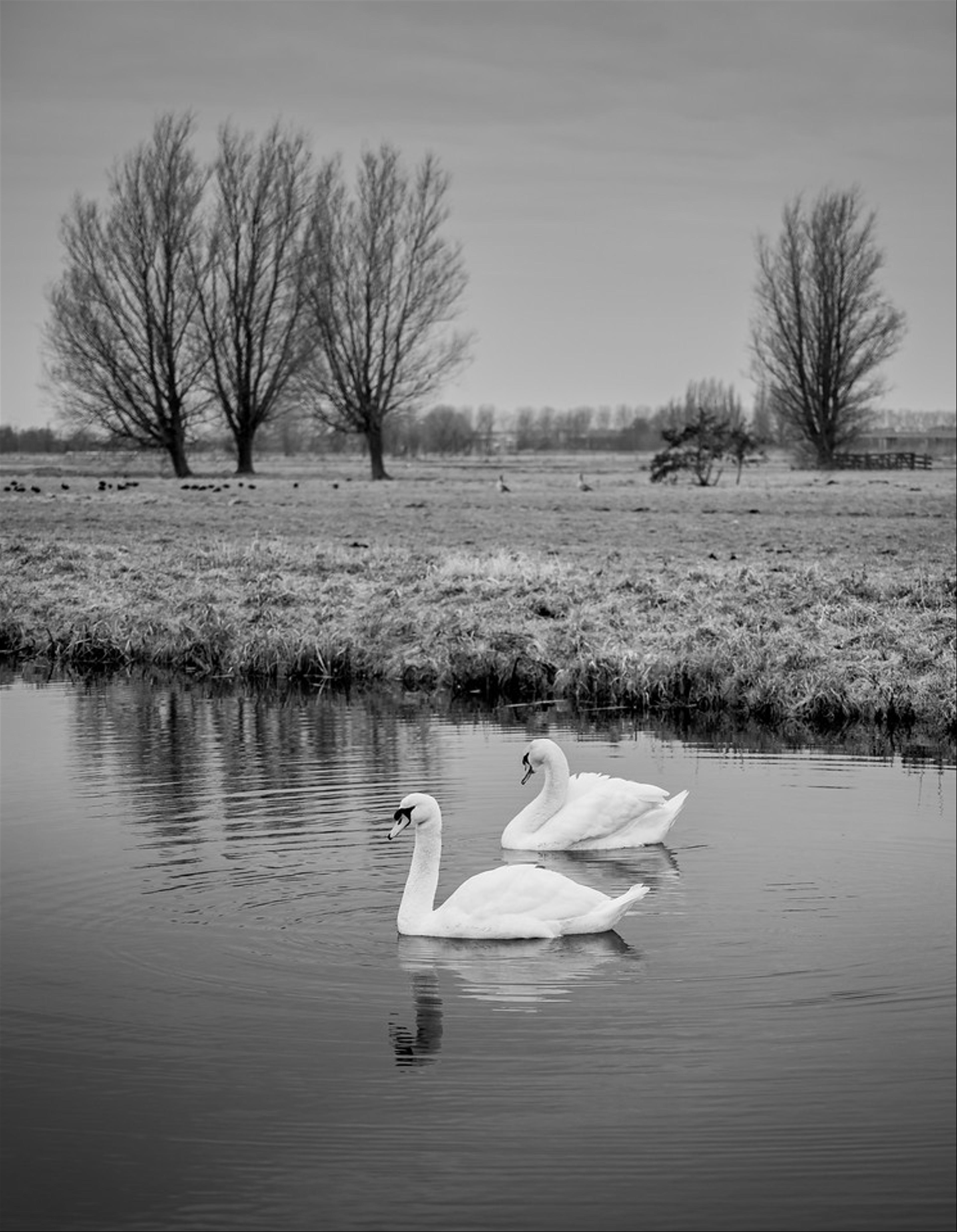 2021-01-16-het-weegje-85.jpg