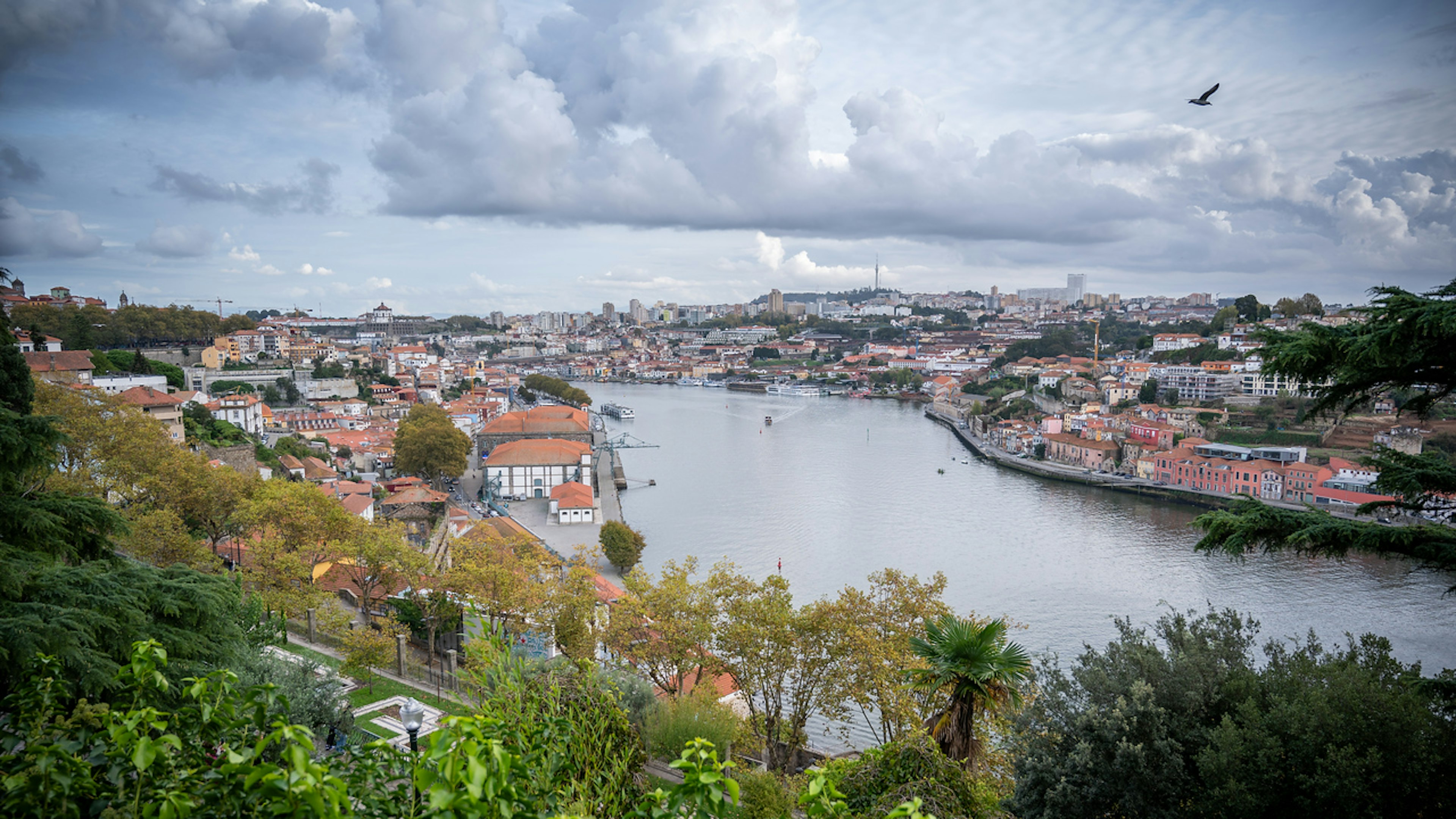 2023-10-21-Porto-0175.jpg